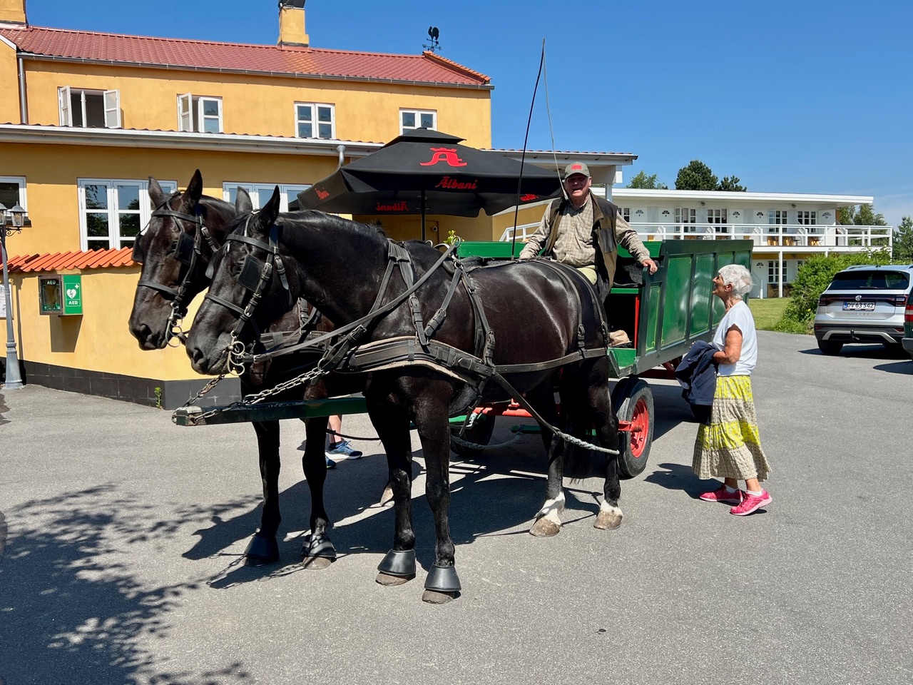 Hestevogn med to sorte heste foran Orø Kro & Hotels gule bygning